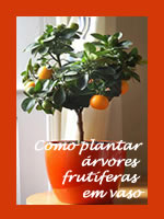 Capa do livro como plantar árvores frutíferas em vasos